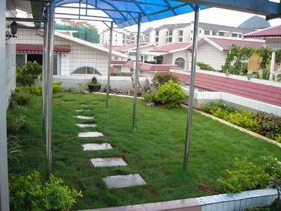 屋頂綠化工程 技術與生態(tài)價值的融合